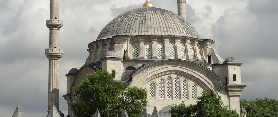 Artboard 4-100_wzFYOGZ0N0.jpg